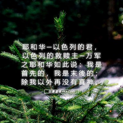 Picture 05 - 以 赛 亚 书 44:6 CUVS - 耶 和 华 ─ 以 色 列 的 君 ， 以 色 - Bible Verse Picture