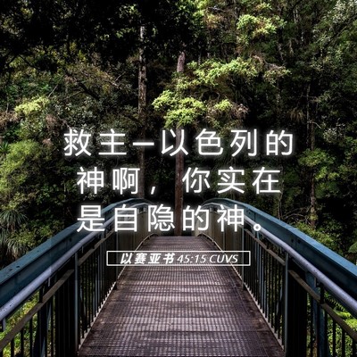 Picture 05 - 以 赛 亚 书 45:15 CUVS - 救 主 ─ 以 色 列 的 神 啊 ， 你 实 - Bible Verse Picture