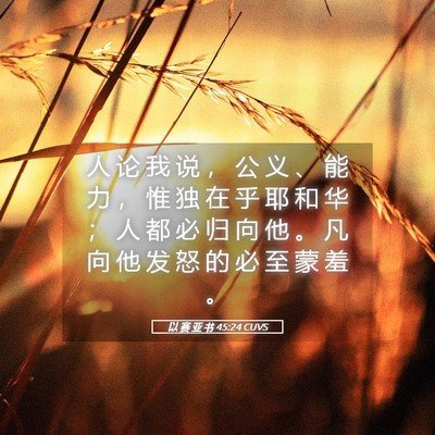 Picture 05 - 以 赛 亚 书 45:24 CUVS - 人 论 我 说 ， 公 义 、 能 力 ， 惟 - Bible Verse Picture