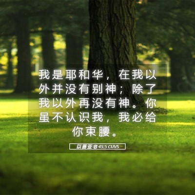 Picture 05 - 以 赛 亚 书 45:5 CUVS - 我 是 耶 和 华 ， 在 我 以 外 并 没 - Bible Verse Picture