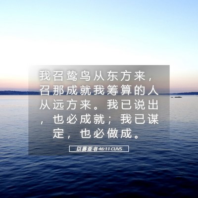 Picture 05 - 以 赛 亚 书 46:11 CUVS - 我 召 鸷 鸟 从 东 方 来 ， 召 那 成 - Bible Verse Picture