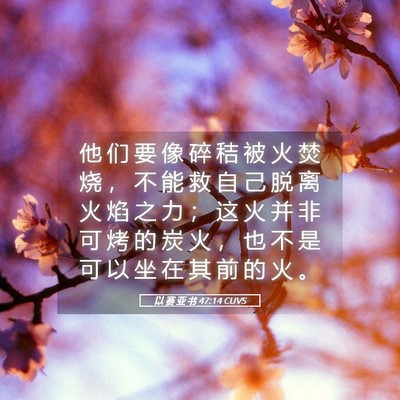 Picture 05 - 以 赛 亚 书 47:14 CUVS - 他 们 要 像 碎 秸 被 火 焚 烧 ， 不 - Bible Verse Picture
