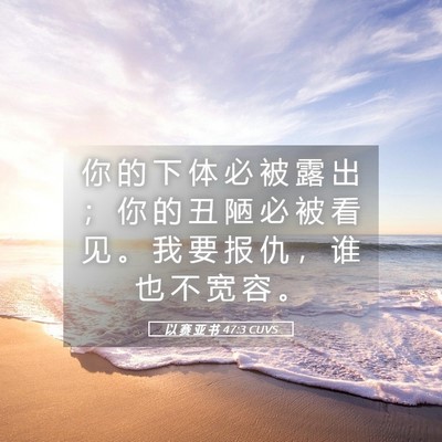 Picture 05 - 以 赛 亚 书 47:3 CUVS - 你 的 下 体 必 被 露 出 ； 你 的 丑 - Bible Verse Picture
