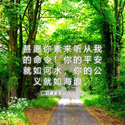 Picture 05 - 以 赛 亚 书 48:18 CUVS - 甚 愿 你 素 来 听 从 我 的 命 令 ！ - Bible Verse Picture