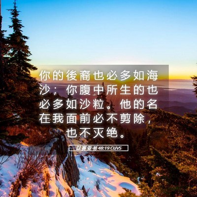 Picture 05 - 以 赛 亚 书 48:19 CUVS - 你 的 後 裔 也 必 多 如 海 沙 ； 你 - Bible Verse Picture