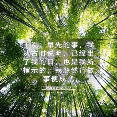 Picture 05 - 以 赛 亚 书 48:3 CUVS - 主 说 ： 早 先 的 事 ， 我 从 古 时 - Bible Verse Picture
