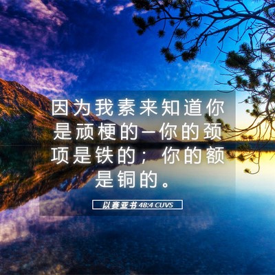 Picture 05 - 以 赛 亚 书 48:4 CUVS - 因 为 我 素 来 知 道 你 是 顽 梗 的 - Bible Verse Picture