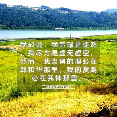 Picture 05 - 以 赛 亚 书 49:4 CUVS - 我 却 说 ： 我 劳 碌 是 徒 然 ； 我 - Bible Verse Picture