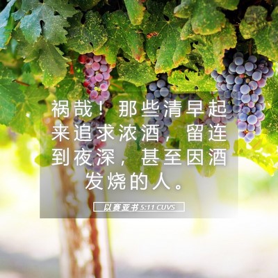 Picture 05 - 以 赛 亚 书 5:11 CUVS - 祸 哉 ！ 那 些 清 早 起 来 追 求 浓 - Bible Verse Picture