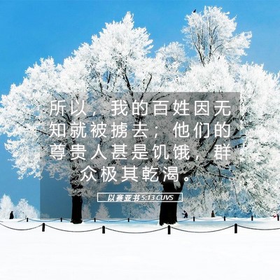 Picture 05 - 以 赛 亚 书 5:13 CUVS - 所 以 ， 我 的 百 姓 因 无 知 就 被 - Bible Verse Picture
