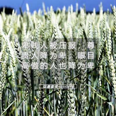 Picture 05 - 以 赛 亚 书 5:15 CUVS - 卑 贱 人 被 压 服 ； 尊 贵 人 降 为 - Bible Verse Picture