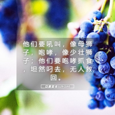 Picture 05 - 以 赛 亚 书 5:29 CUVS - 他 们 要 吼 叫 ， 像 母 狮 子 ， 咆 - Bible Verse Picture