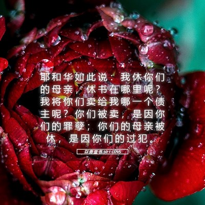 Picture 05 - 以 赛 亚 书 50:1 CUVS - 耶 和 华 如 此 说 ： 我 休 你 们 的 - Bible Verse Picture