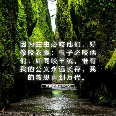 Picture 05 - 以 赛 亚 书 51:8 CUVS - 因 为 蛀 虫 必 咬 他 们 ， 好 像 咬 - Bible Verse Picture