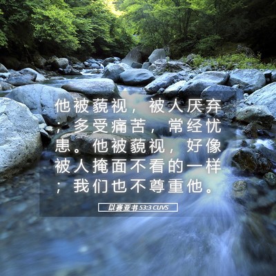 Picture 05 - 以 赛 亚 书 53:3 CUVS - 他 被 藐 视 ， 被 人 厌 弃 ； 多 受 - Bible Verse Picture