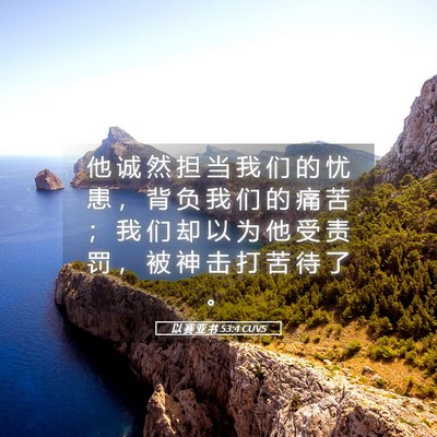 Picture 05 - 以 赛 亚 书 53:4 CUVS - 他 诚 然 担 当 我 们 的 忧 患 ， 背 - Bible Verse Picture