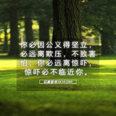 Picture 05 - 以 赛 亚 书 54:14 CUVS - 你 必 因 公 义 得 坚 立 ， 必 远 离 - Bible Verse Picture