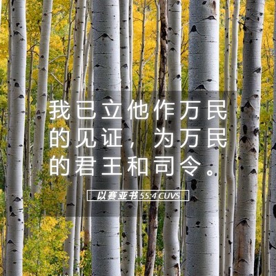 Picture 05 - 以 赛 亚 书 55:4 CUVS - 我 已 立 他 作 万 民 的 见 证 ， 为 - Bible Verse Picture