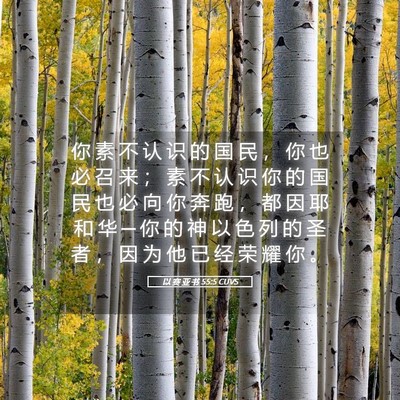 Picture 05 - 以 赛 亚 书 55:5 CUVS - 你 素 不 认 识 的 国 民 ， 你 也 必 - Bible Verse Picture