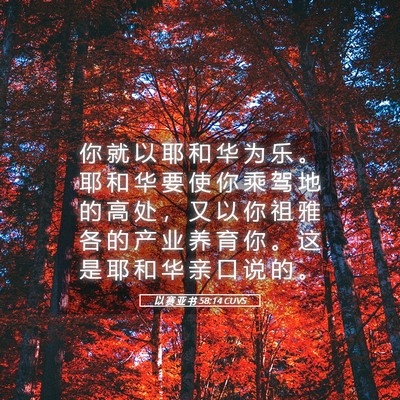 Picture 05 - 以 赛 亚 书 58:14 CUVS - 你 就 以 耶 和 华 为 乐 。 耶 和 华 - Bible Verse Picture
