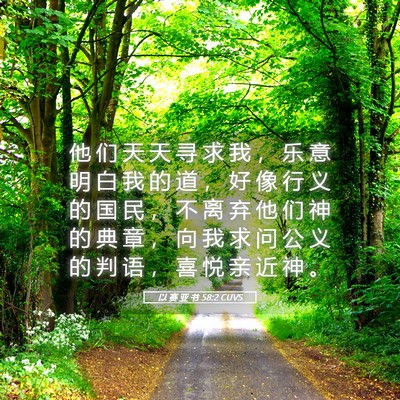 Picture 05 - 以 赛 亚 书 58:2 CUVS - 他 们 天 天 寻 求 我 ， 乐 意 明 白 - Bible Verse Picture