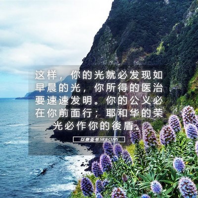 Picture 05 - 以 赛 亚 书 58:8 CUVS - 这 样 ， 你 的 光 就 必 发 现 如 早 - Bible Verse Picture