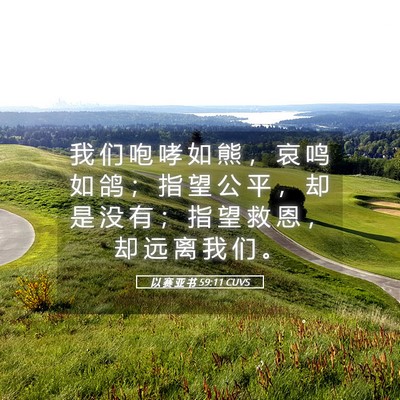 Picture 05 - 以 赛 亚 书 59:11 CUVS - 我 们 咆 哮 如 熊 ， 哀 鸣 如 鸽 ； - Bible Verse Picture