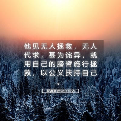 Picture 05 - 以 赛 亚 书 59:16 CUVS - 他 见 无 人 拯 救 ， 无 人 代 求 ， - Bible Verse Picture