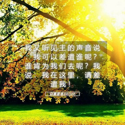 Picture 05 - 以 赛 亚 书 6:8 CUVS - 我 又 听 见 主 的 声 音 说 ： 我 可 - Bible Verse Picture