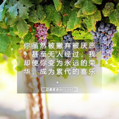 Picture 05 - 以 赛 亚 书 60:15 CUVS - 你 虽 然 被 撇 弃 被 厌 恶 ， 甚 至 - Bible Verse Picture