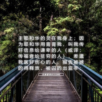 Picture 05 - 以 赛 亚 书 61:1 CUVS - 主 耶 和 华 的 灵 在 我 身 上 ； 因 - Bible Verse Picture