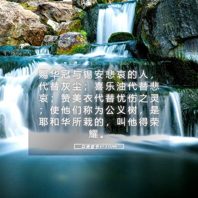 Picture 05 - 以 赛 亚 书 61:3 CUVS - 赐 华 冠 与 锡 安 悲 哀 的 人 ， 代 - Bible Verse Picture