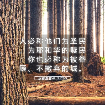 Picture 05 - 以 赛 亚 书 62:12 CUVS - 人 必 称 他 们 为 圣 民 ， 为 耶 和 - Bible Verse Picture