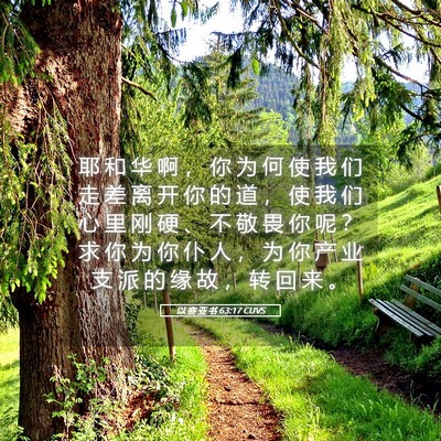 Picture 05 - 以 赛 亚 书 63:17 CUVS - 耶 和 华 啊 ， 你 为 何 使 我 们 走 - Bible Verse Picture