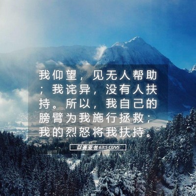 Picture 05 - 以 赛 亚 书 63:5 CUVS - 我 仰 望 ， 见 无 人 帮 助 ； 我 诧 - Bible Verse Picture