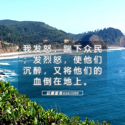 Picture 05 - 以 赛 亚 书 63:6 CUVS - 我 发 怒 ， 踹 下 众 民 ； 发 烈 怒 - Bible Verse Picture