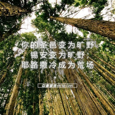 Picture 05 - 以 赛 亚 书 64:10 CUVS - 你 的 圣 邑 变 为 旷 野 。 锡 安 变 - Bible Verse Picture