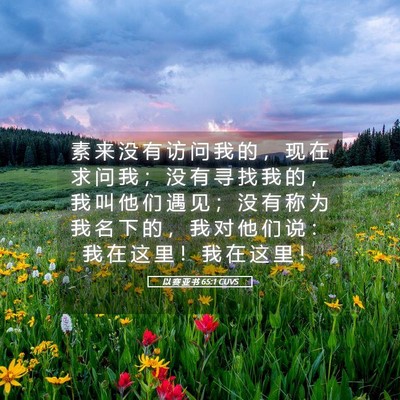 Picture 05 - 以 赛 亚 书 65:1 CUVS - 素 来 没 有 访 问 我 的 ， 现 在 求 - Bible Verse Picture