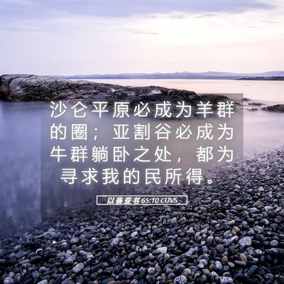 Picture 05 - 以 赛 亚 书 65:10 CUVS - 沙 仑 平 原 必 成 为 羊 群 的 圈 ； - Bible Verse Picture
