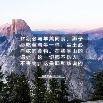 Picture 05 - 以 赛 亚 书 65:25 CUVS - 豺 狼 必 与 羊 羔 同 食 ； 狮 子 必 - Bible Verse Picture