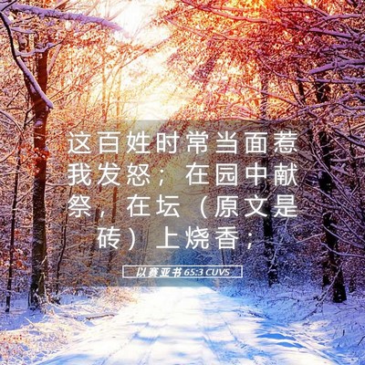 Picture 05 - 以 赛 亚 书 65:3 CUVS - 这 百 姓 时 常 当 面 惹 我 发 怒 ； - Bible Verse Picture