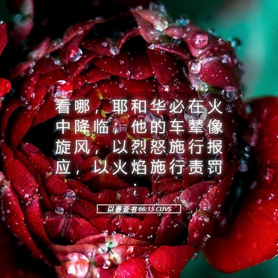 Picture 05 - 以 赛 亚 书 66:15 CUVS - 看 哪 ， 耶 和 华 必 在 火 中 降 临 - Bible Verse Picture