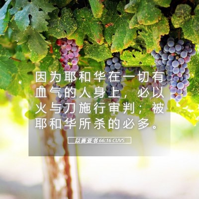 Picture 05 - 以 赛 亚 书 66:16 CUVS - 因 为 耶 和 华 在 一 切 有 血 气 的 - Bible Verse Picture