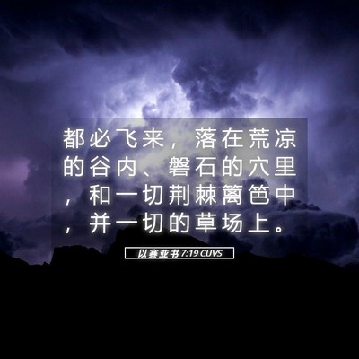 Picture 05 - 以 赛 亚 书 7:19 CUVS - 都 必 飞 来 ， 落 在 荒 凉 的 谷 内 - Bible Verse Picture