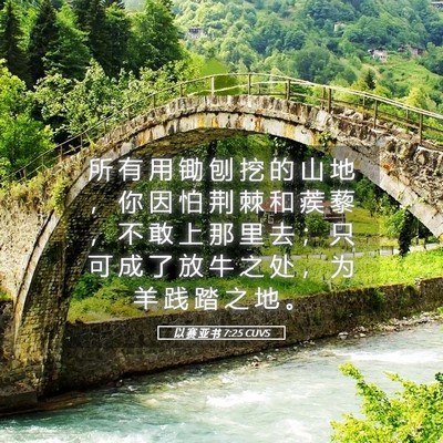 Picture 05 - 以 赛 亚 书 7:25 CUVS - 所 有 用 锄 刨 挖 的 山 地 ， 你 因 - Bible Verse Picture