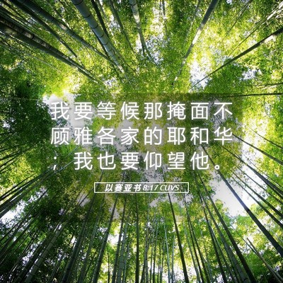 Picture 05 - 以 赛 亚 书 8:17 CUVS - 我 要 等 候 那 掩 面 不 顾 雅 各 家 - Bible Verse Picture