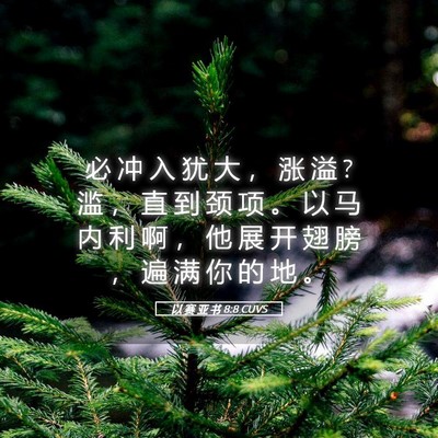 Picture 05 - 以 赛 亚 书 8:8 CUVS - 必 冲 入 犹 大 ， 涨 溢 ? 滥 ， 直 到 - Bible Verse Picture