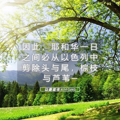 Picture 05 - 以 赛 亚 书 9:14 CUVS - 因 此 ， 耶 和 华 一 日 之 间 必 从 - Bible Verse Picture