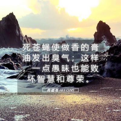 Picture 05 - 传 道 书 10:1 CUVS - 死 苍 蝇 使 做 香 的 膏 油 发 出 臭 - Bible Verse Picture