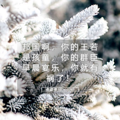 Picture 05 - 传 道 书 10:16 CUVS - 邦 国 啊 ， 你 的 王 若 是 孩 童 ， - Bible Verse Picture